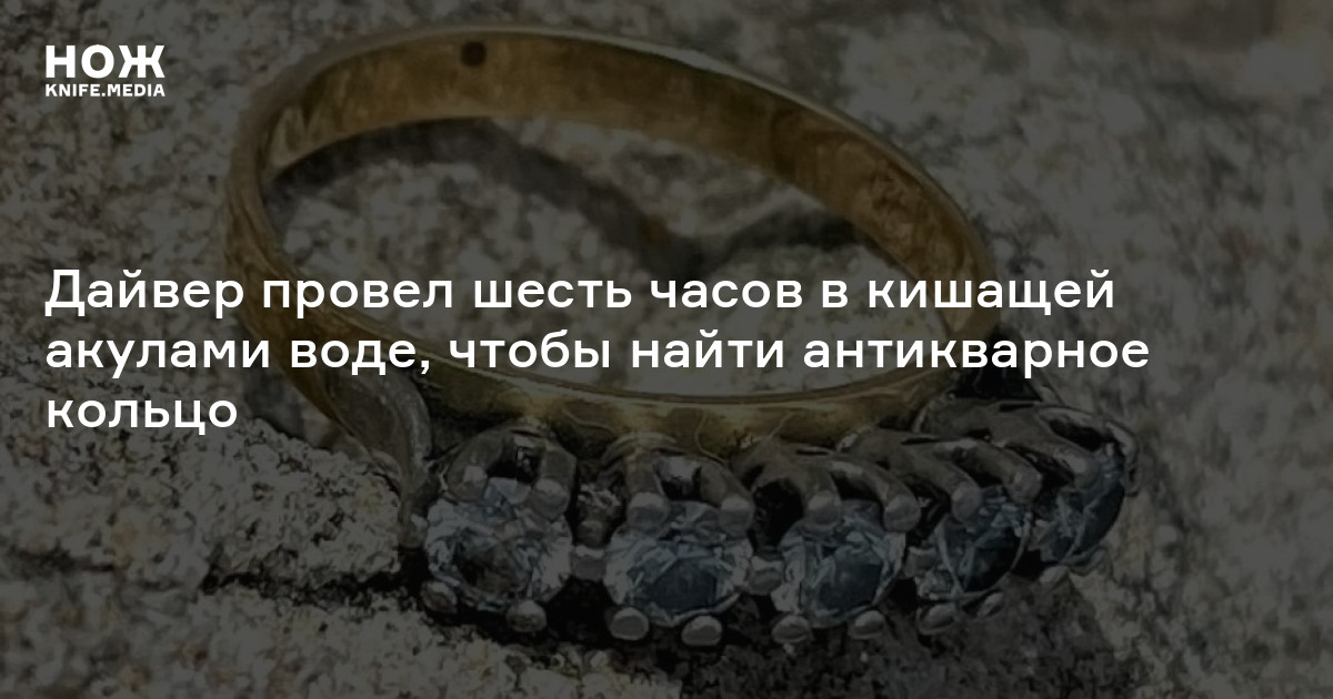 Дайвер провел шесть часов в кишащей акулами воде, чтобы найти ...