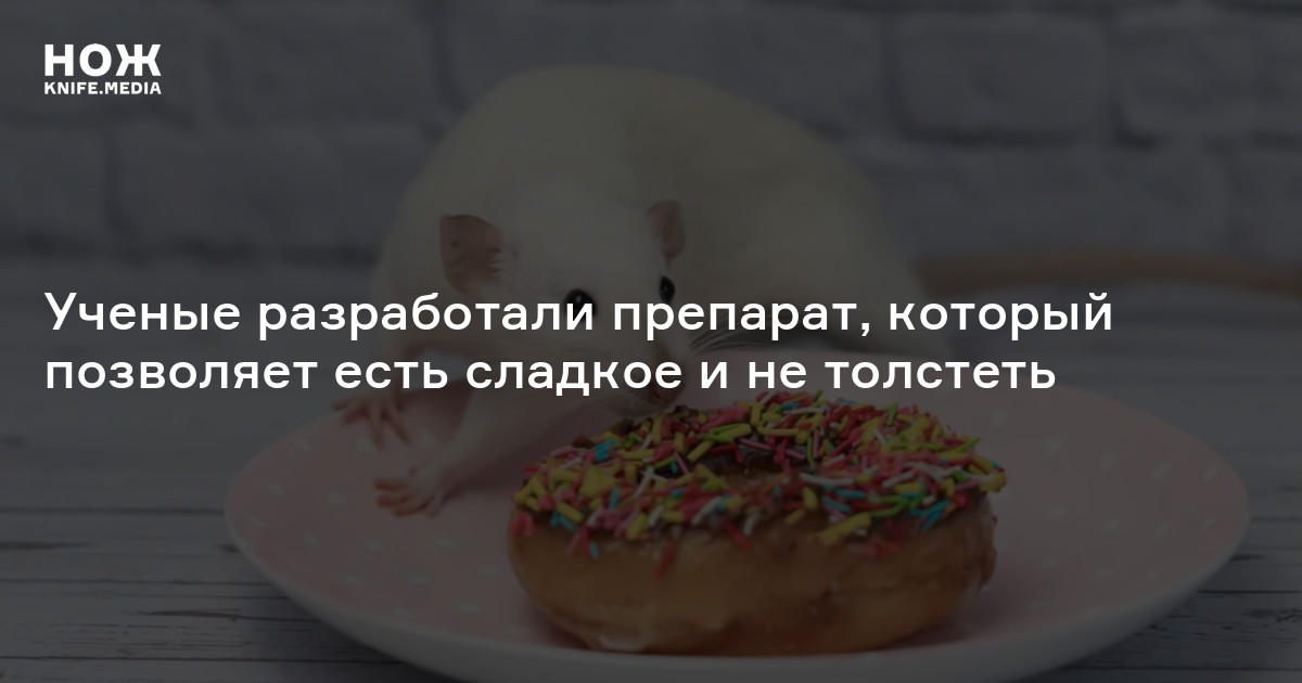 Ученые разработали препарат, который позволяет есть сладкое и не ...