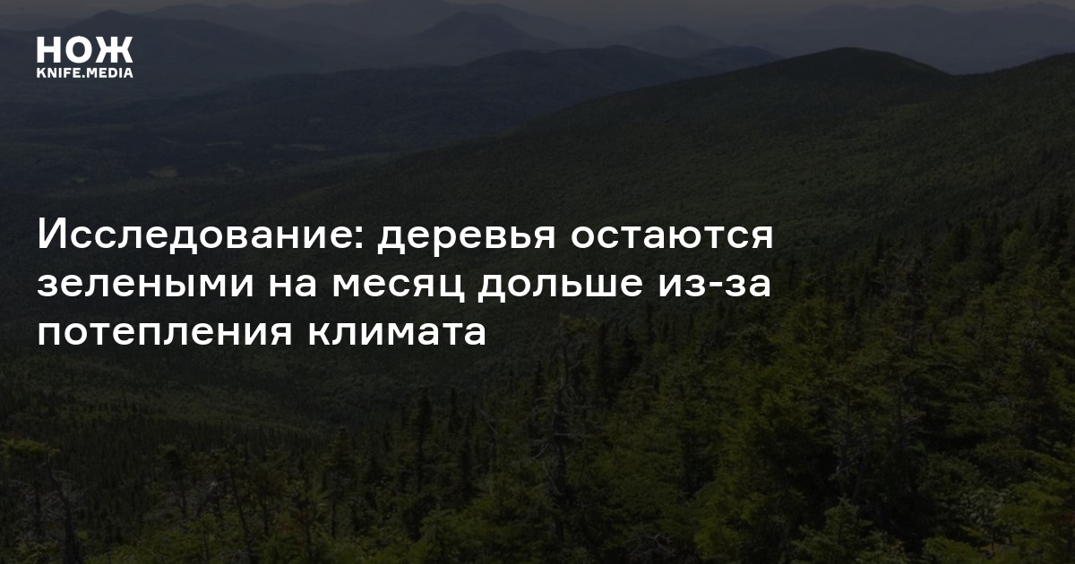 Исследование: деревья остаются зелеными на месяц дольше из-за ...