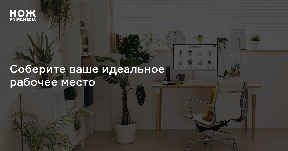 Стул-велосипед и мох на стенах: соберите ваше идеальное рабочее место — Нож
