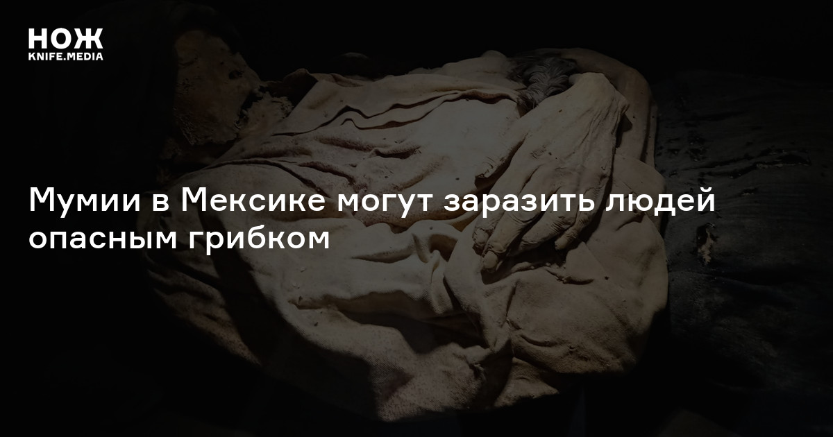 Мумии в Мексике могут заразить людей опасным грибком — Нож