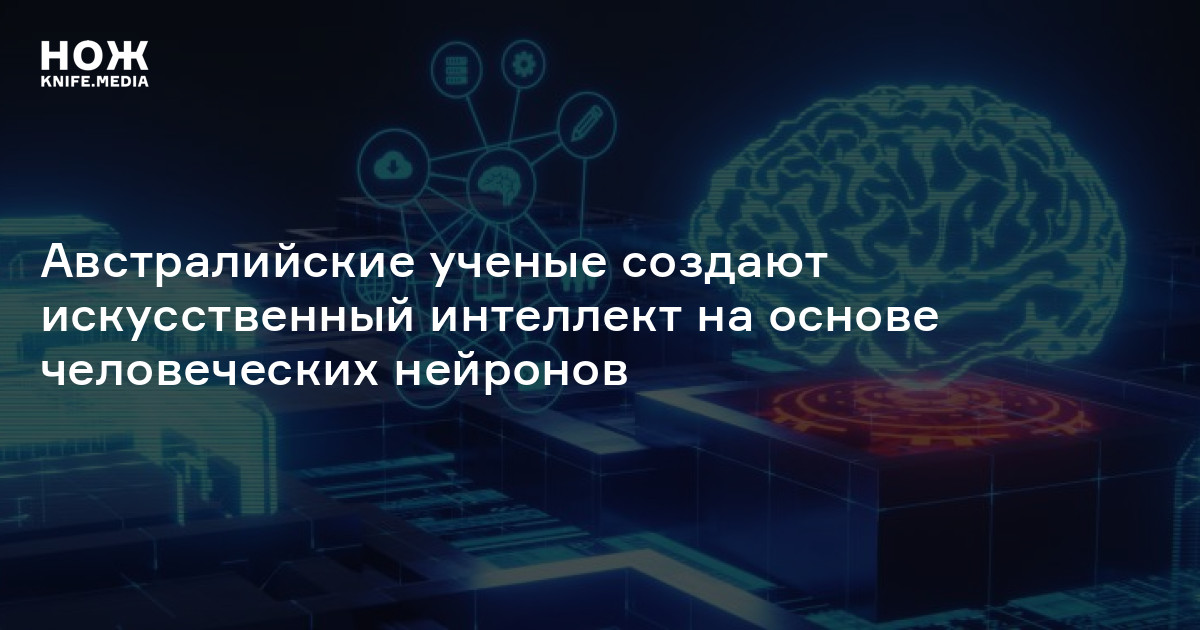 Австралийские ученые создают искусственный интеллект на основе ...