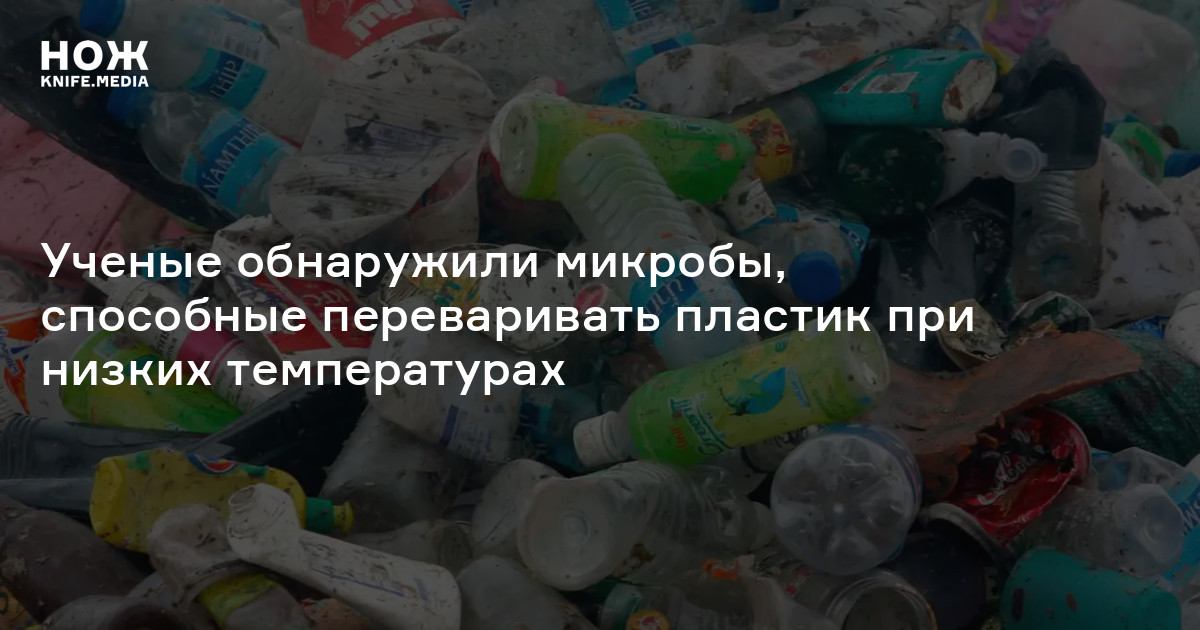 Ученые обнаружили микробы, способные переваривать пластик при низких ...