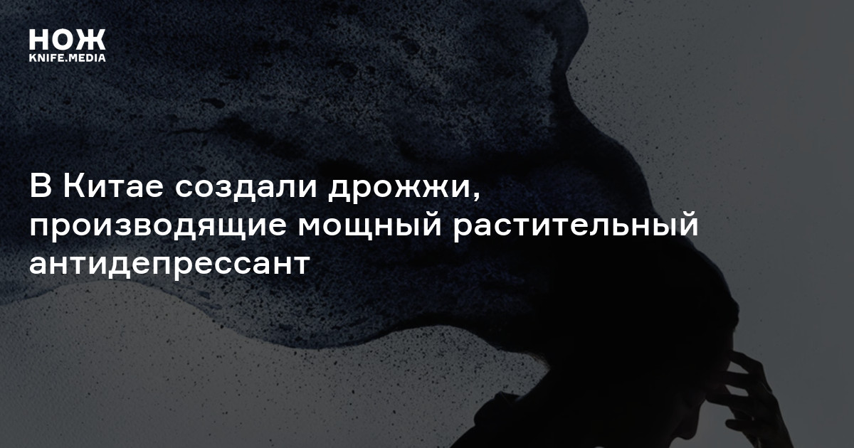 В Китае создали дрожжи, производящие мощный растительный антидепрессант ...