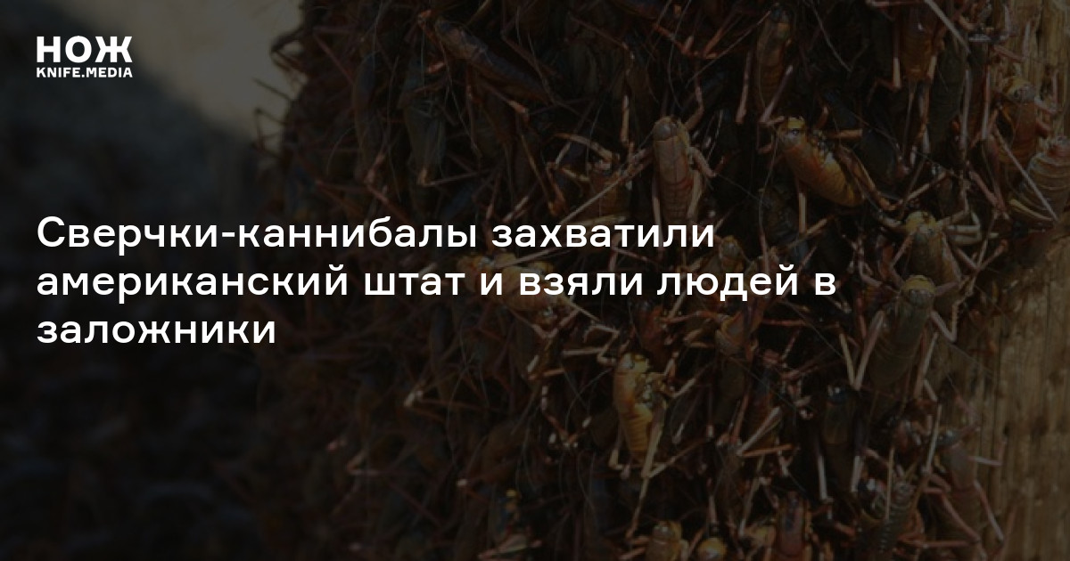 Сверчки-каннибалы захватили американский штат и взяли людей в заложники ...