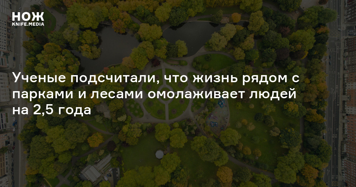 Ученые подсчитали, что жизнь рядом с парками и лесами омолаживает людей ...