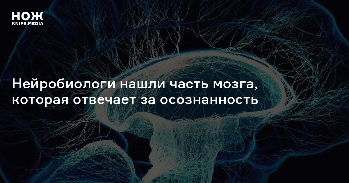 Игорь зима нейробиолог фото