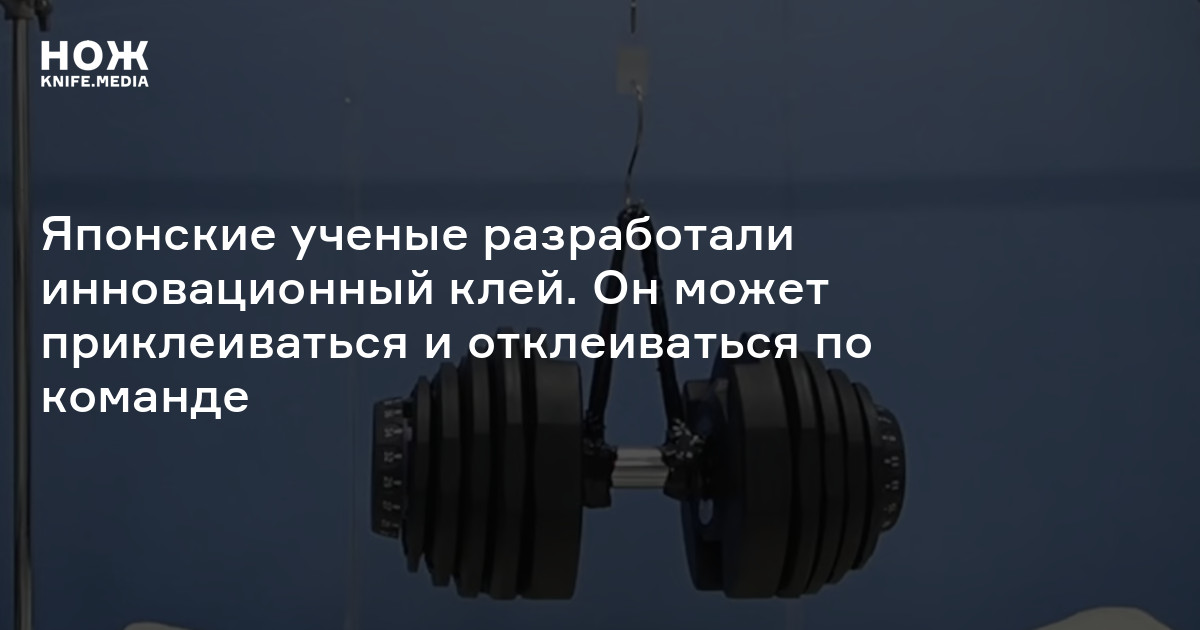 Японские ученые разработали инновационный клей. Он может приклеиваться ...