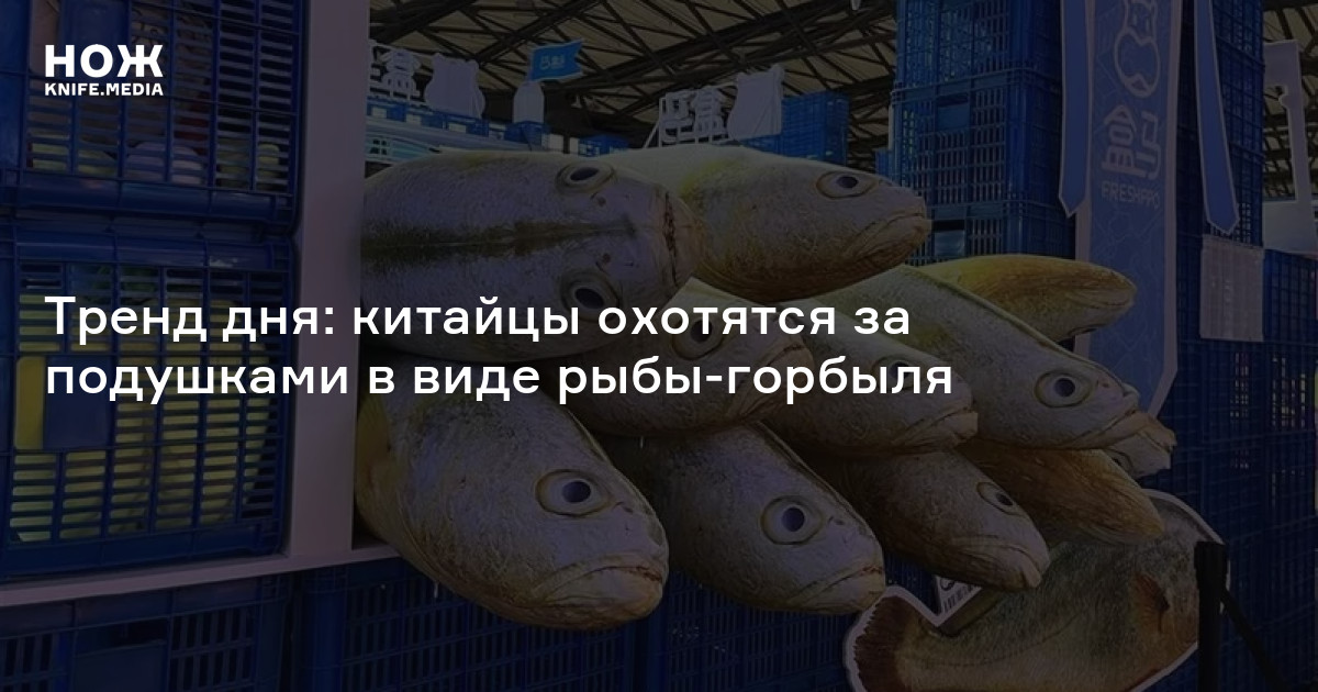 Тренд дня: китайцы охотятся за подушками в виде рыбы-горбыля — Нож