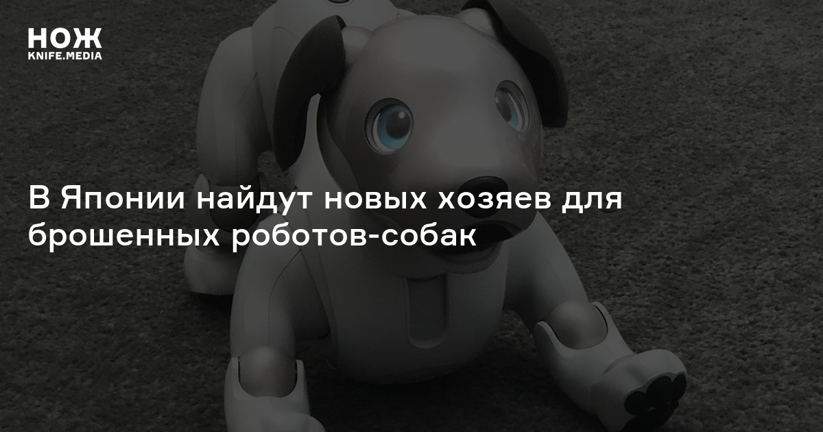 В Японии найдут новых хозяев для брошенных роботов-собак — Нож