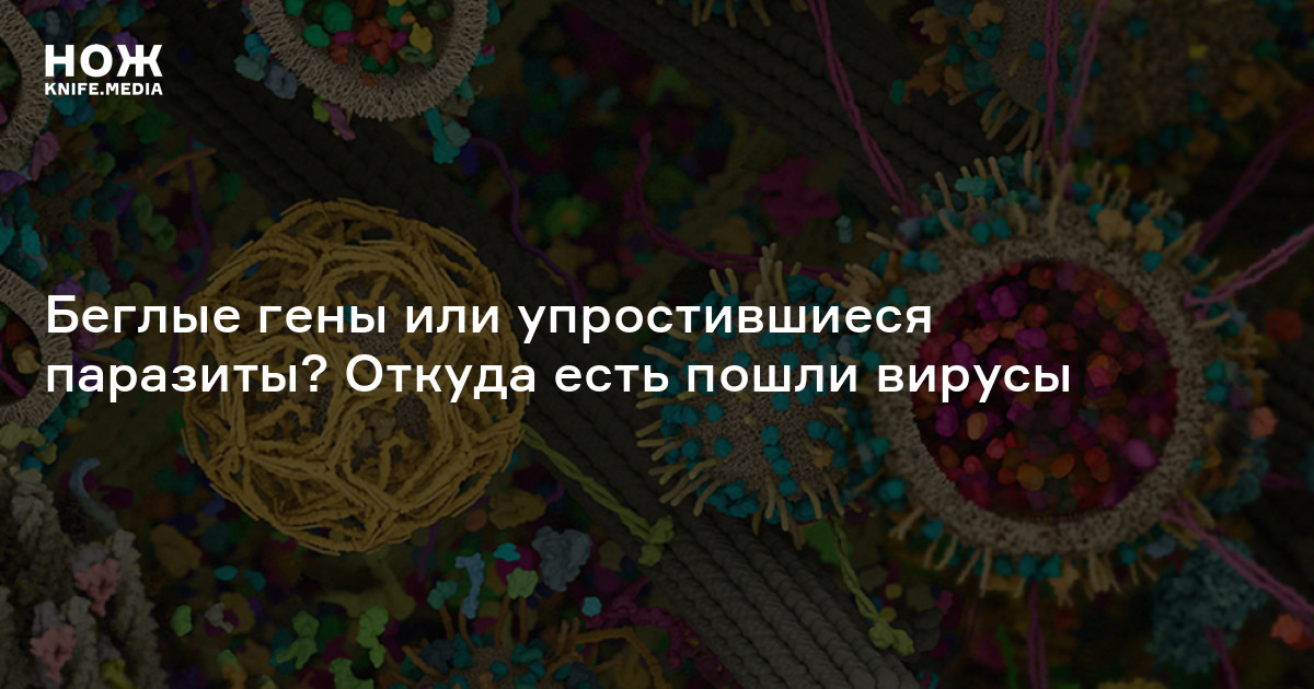 Беглые гены или упростившиеся паразиты? Откуда есть пошли вирусы — Нож