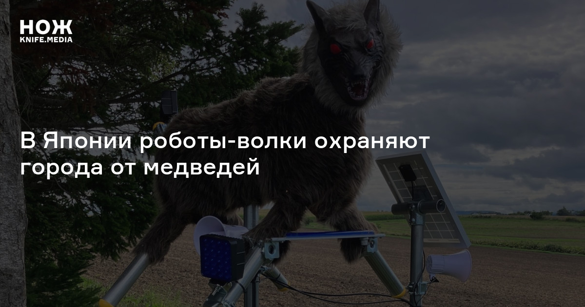 В Японии роботы-волки охраняют города от медведей — Нож