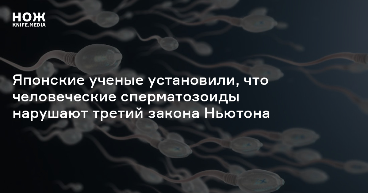 Процесс оплодотворения яйцеклетки у женщин: как происходит зачатие ребенка