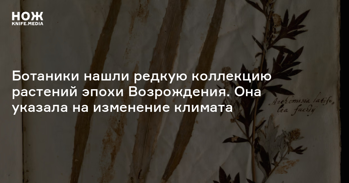 мужчина ботаник в очках. найдите ботаники. найдите ботаники. мальчик ботаник в очках. науки изучающие ботанику.