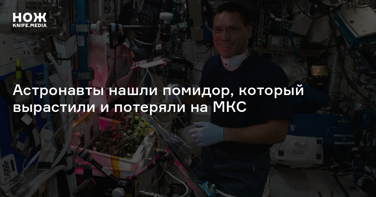 Астронавты нашли помидор, который вырастили и потеряли на МКС