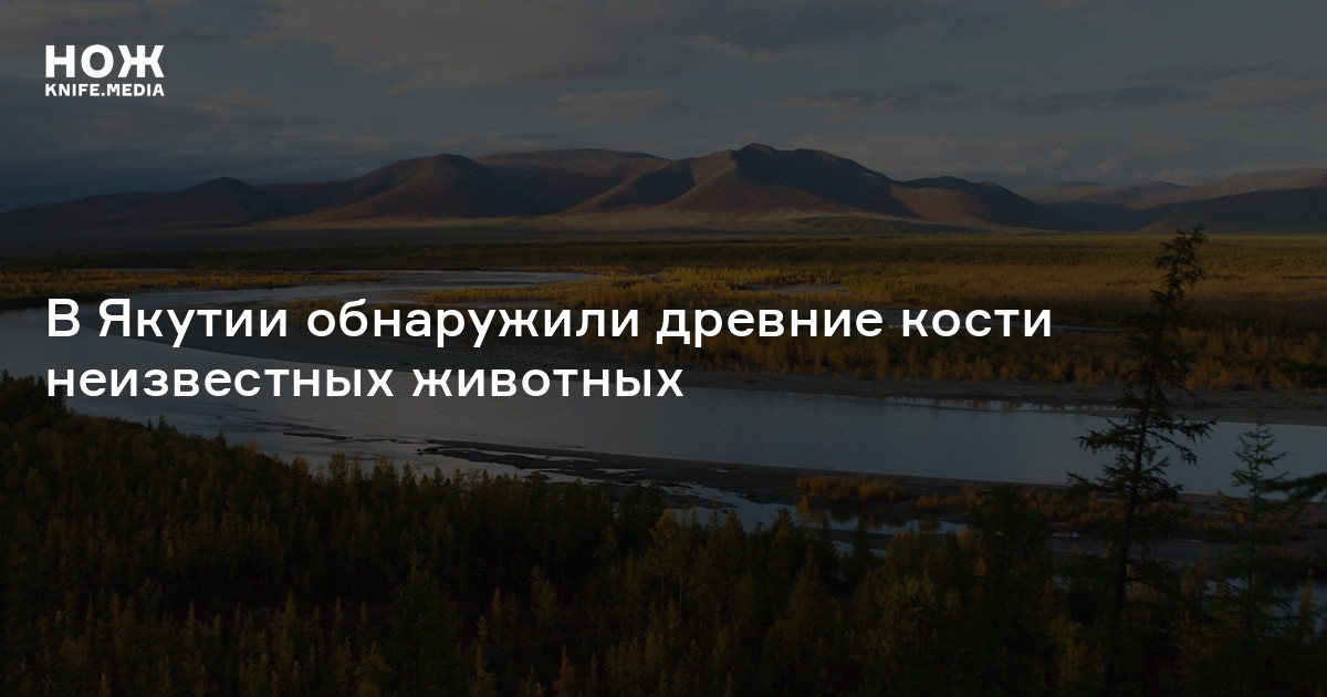 В Якутии обнаружили древние кости неизвестных животных — Нож