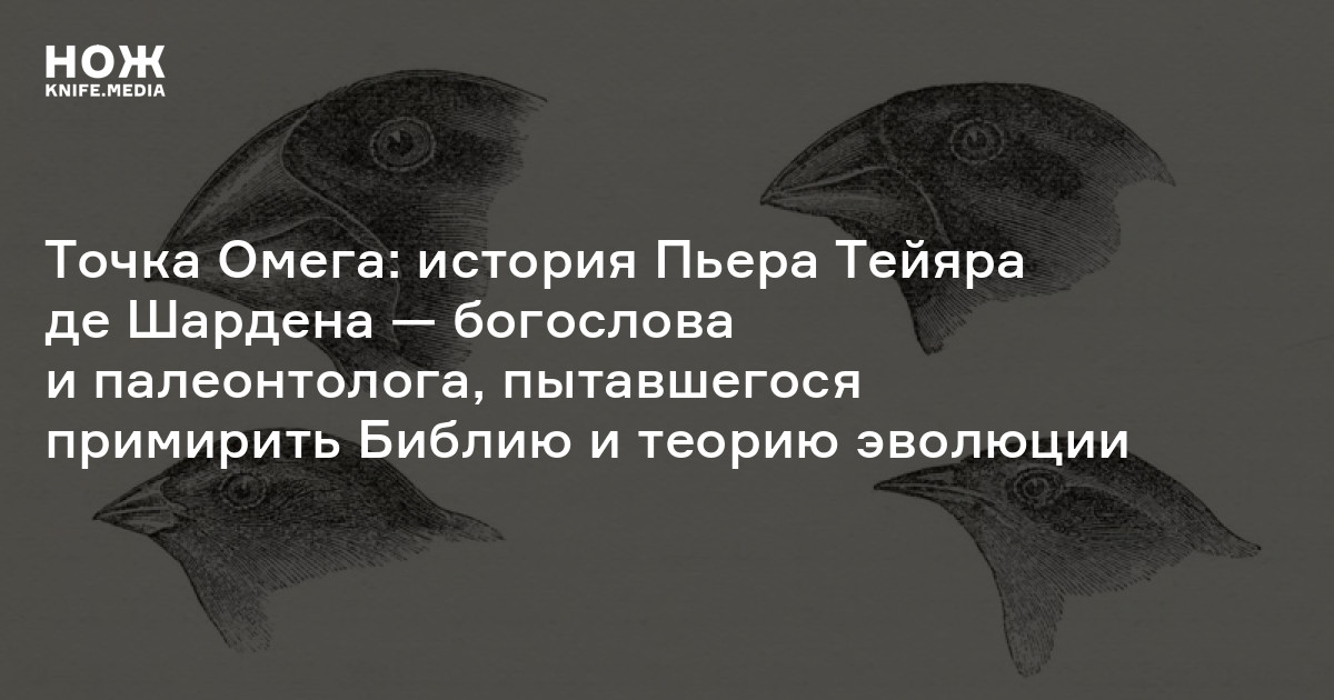 Пьер Тейяр де Шарден — Нож