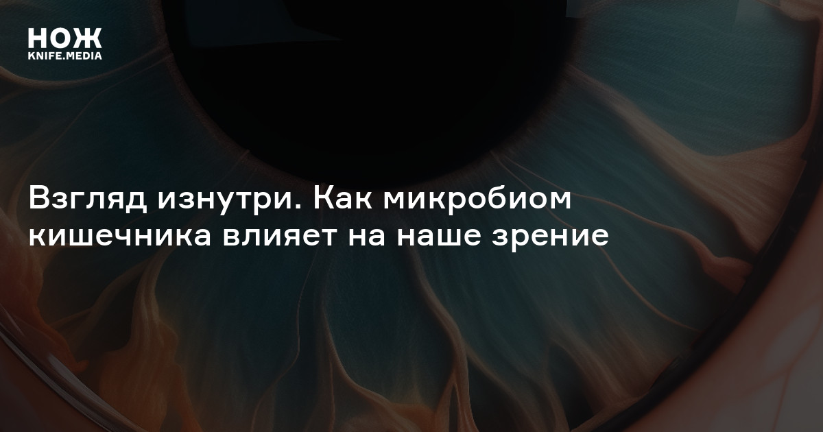 Ось кишечник — глаз — Нож