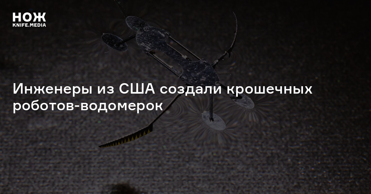 Инженеры из США создали крошечных роботов-водомерок — Нож