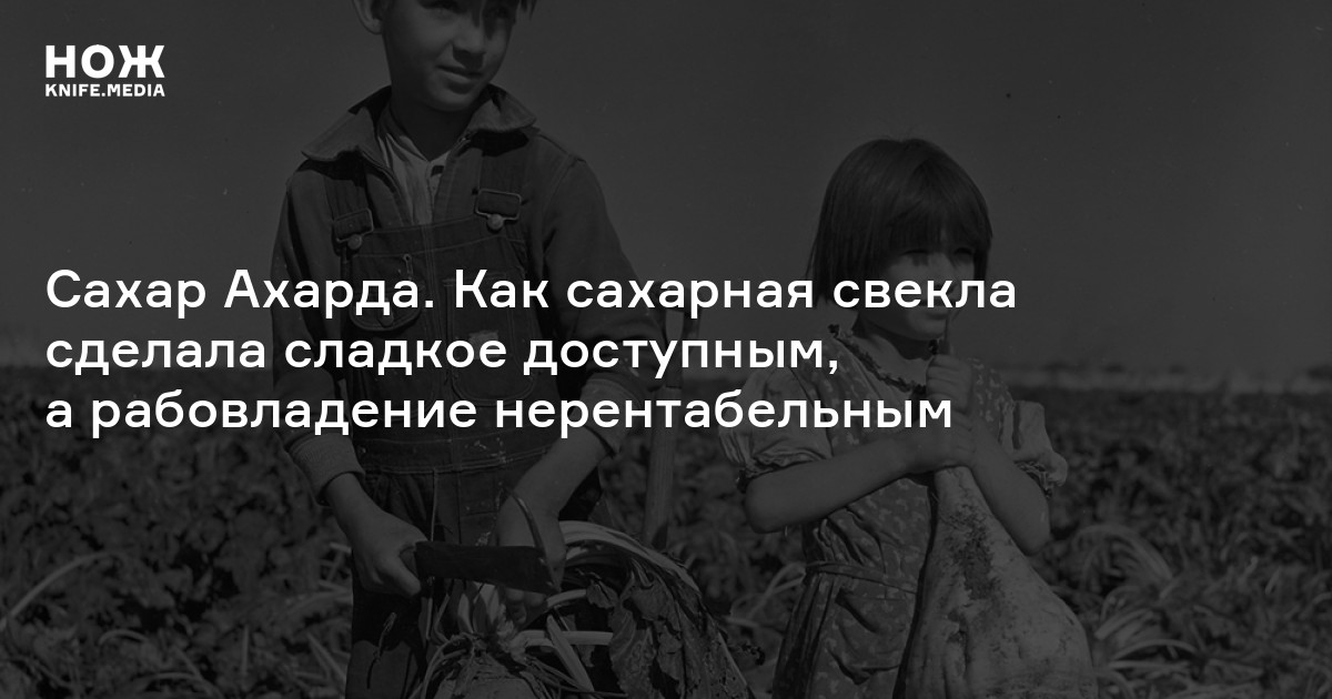 Сахар Ахарда. Как сахарная свекла сделала сладкое доступным, а ...
