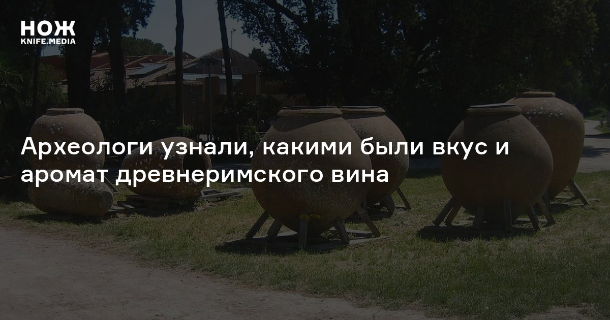 Археологи узнали, какими были вкус и аромат древнеримского вина — Нож