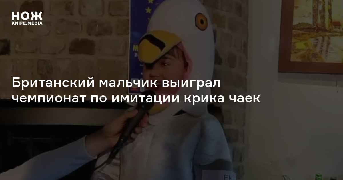 Британский мальчик выиграл чемпионат по имитации крика чаек — Нож