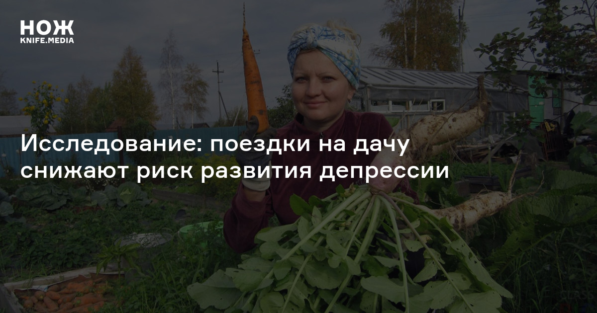 Исследование: поездки на дачу снижают риск развития депрессии — Нож