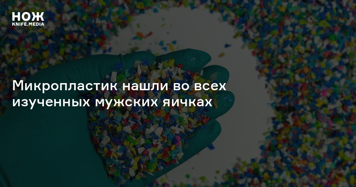 Микропластик нашли во всех изученных мужских яичках — Нож