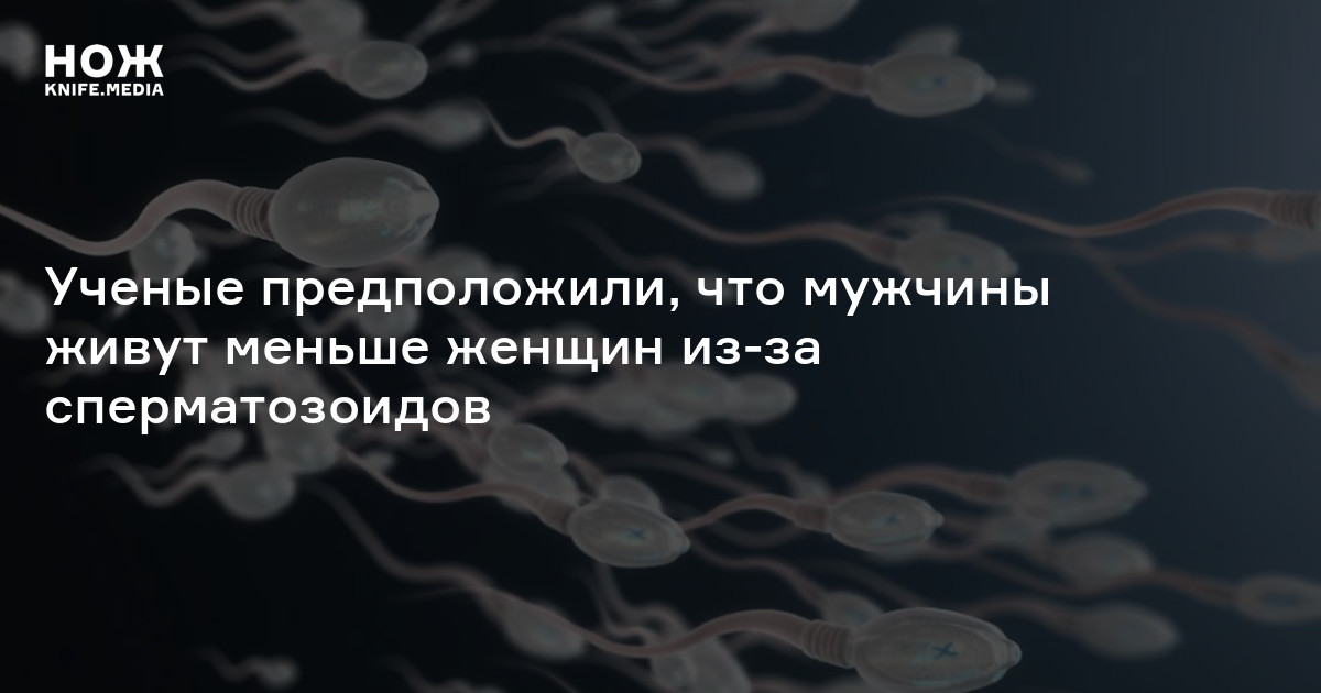 Ученые предположили, что мужчины живут меньше женщин из-за ...