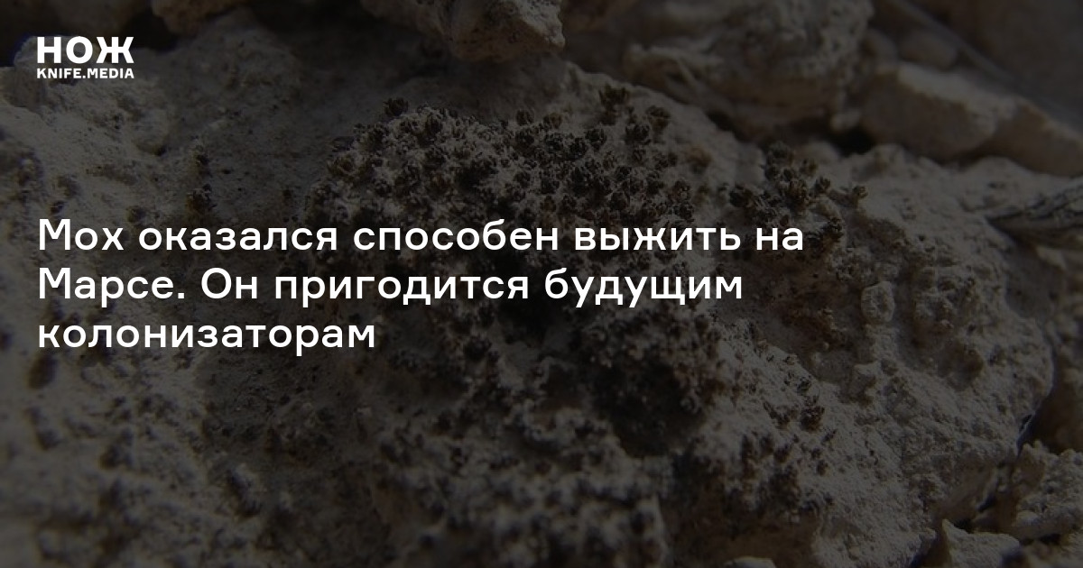 Мох оказался способен выжить на Марсе. Он пригодится будущим ...