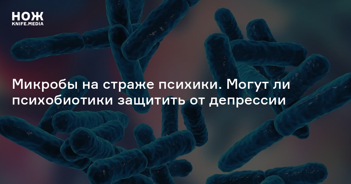 Влияние пробиотиков на психику — Нож