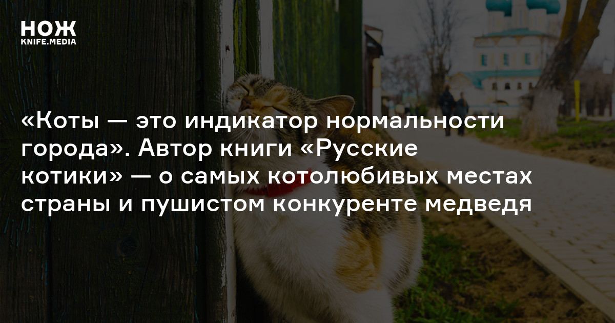 Русский и котики