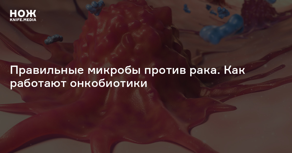 Правильные микробы против рака. Как работают онкобиотики
