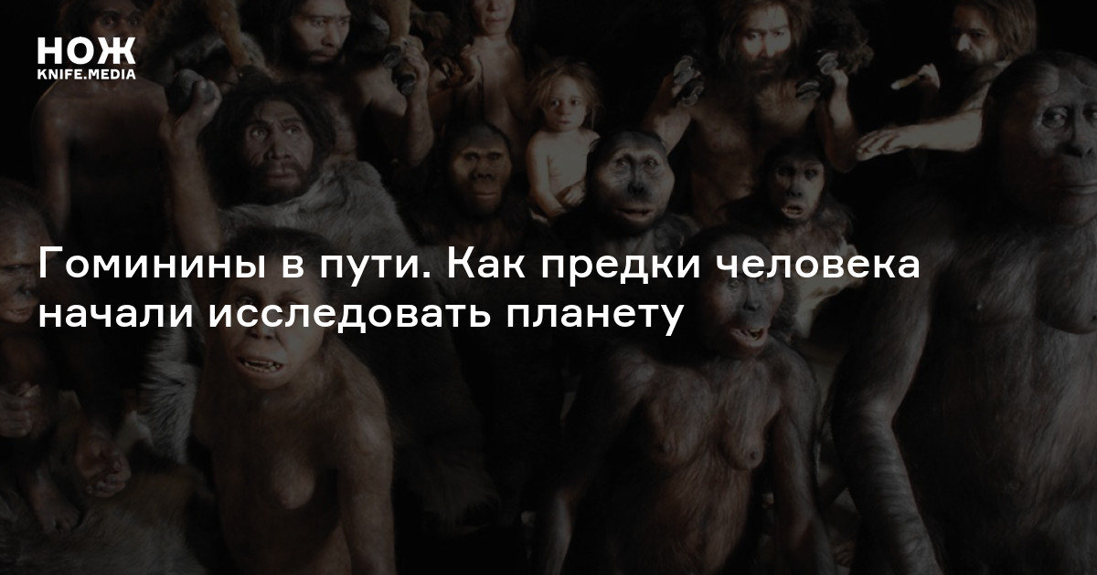 Гоминины в пути. Как предки человека начали исследовать планету