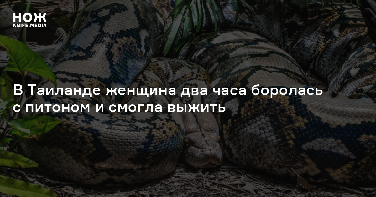 В Таиланде женщина два часа боролась с питоном и смогла выжить
