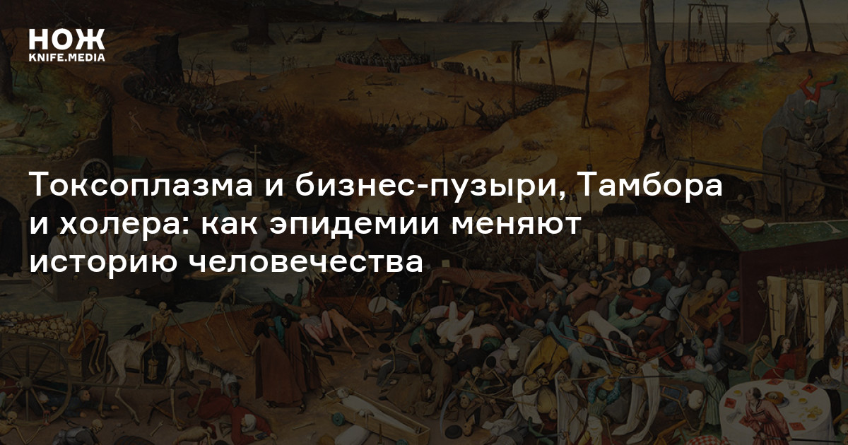 Токсоплазма и бизнес-пузыри, Тамбора и холера: как эпидемии меняют историю человечества