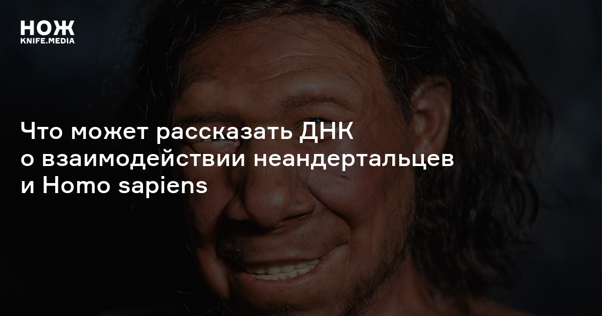 Внутренний неандерталец. Что может рассказать ДНК о взаимодействии неандертальцев и Homo sapiens