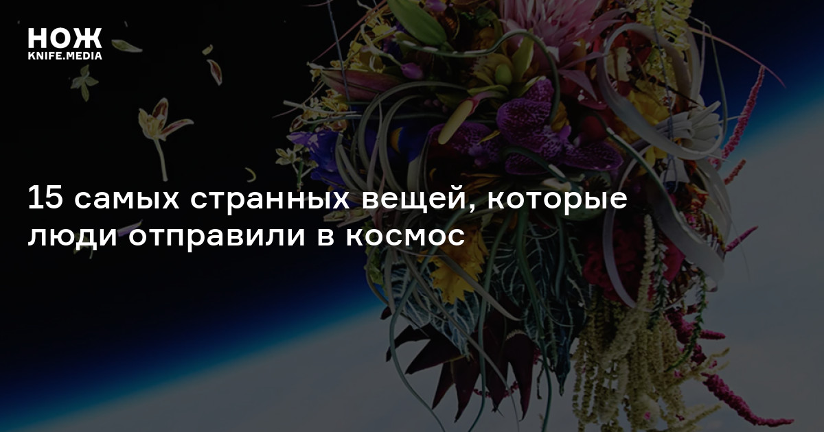 Рисунки, похожие на пенис, останки динозавра и пицца: 15 самых странных вещей, которые люди отправили в космос
