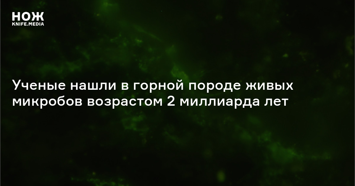 Ученые нашли в горной породе живых микробов возрастом 2 миллиарда лет
