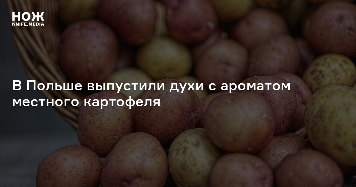 В Польше выпустили духи с ароматом местного картофеля