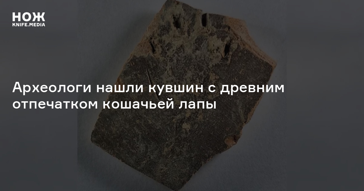 Археологи нашли кувшин с древним отпечатком кошачьей лапы