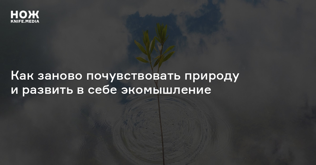 «Растения для нас как инопланетяне». Как заново почувствовать природу и развить в себе экомышление