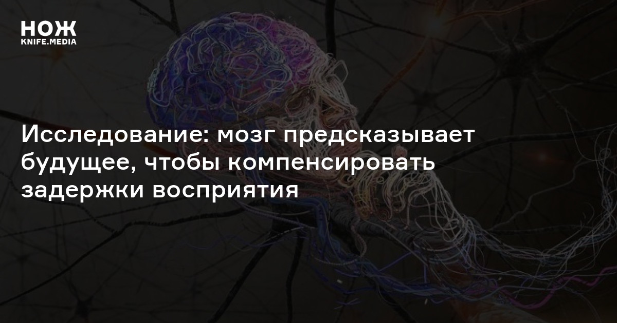 Исследование: мозг предсказывает будущее, чтобы компенсировать задержки восприятия