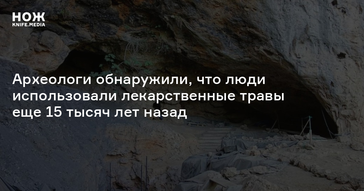 Археологи обнаружили, что люди использовали лекарственные травы еще 15 тысяч лет назад