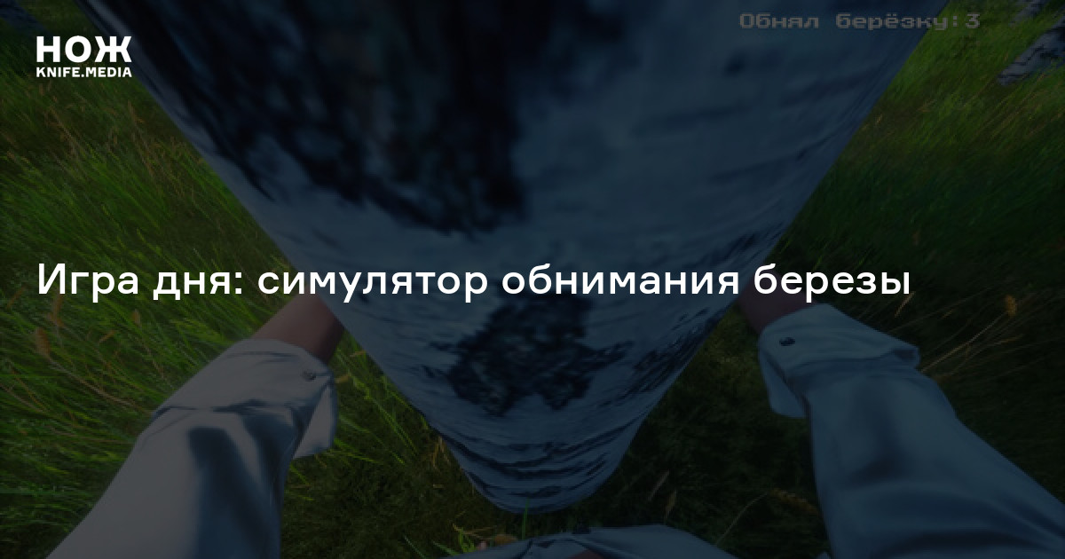 Игра дня: симулятор обнимания березы