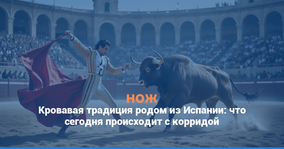 Кровавая традиция родом из Испании: что сегодня происходит с корридой