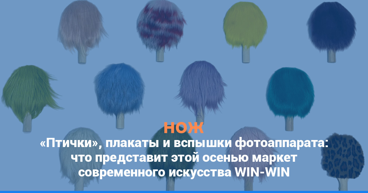 «Птички», плакаты и вспышки фотоаппарата: что представит этой осенью маркет современного искусства WIN-WIN