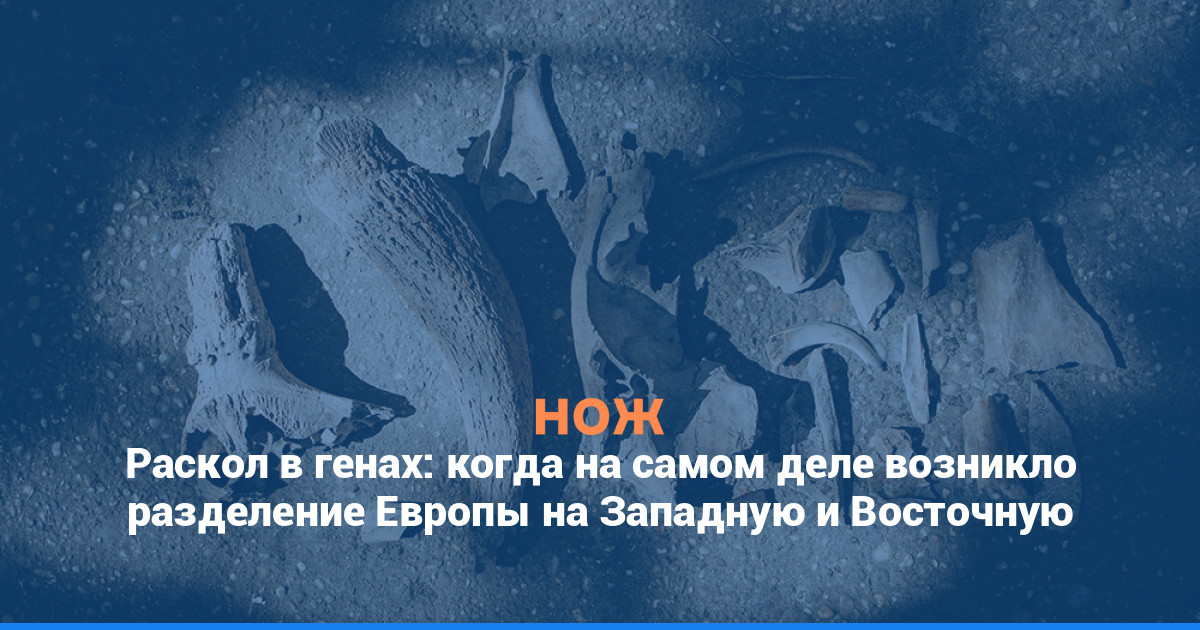 Раскол в генах: когда на самом деле возникло разделение Европы на Западную и Восточную