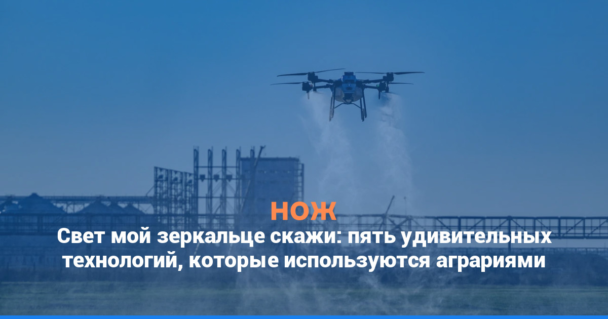 Свет мой, зеркальце, скажи: пять удивительных технологий, которые используются аграриями