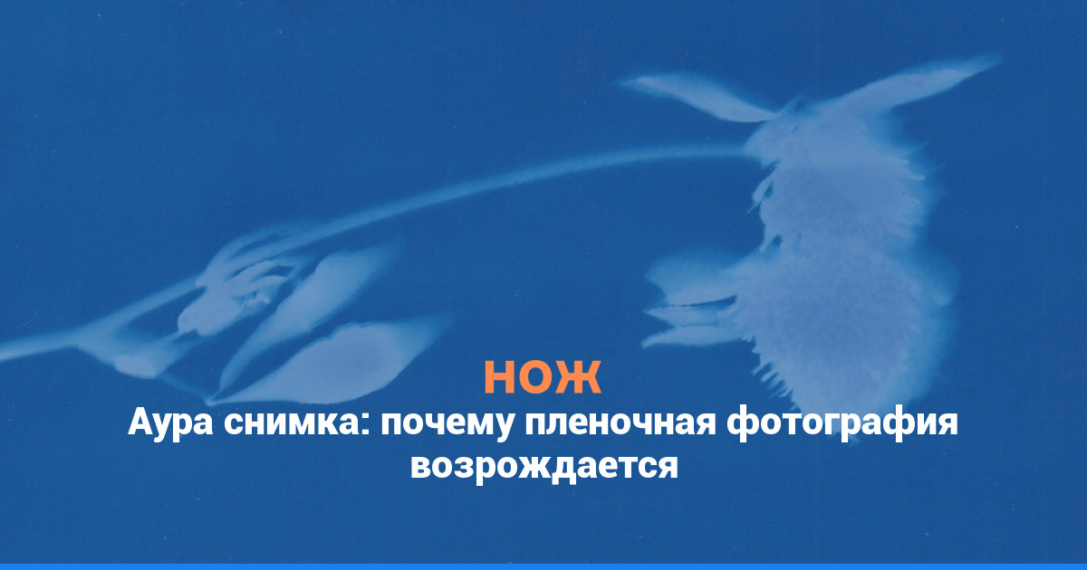 Аура снимка: почему пленочная фотография возрождается